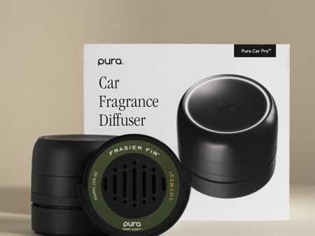 Frasier Fir Car Set Discount